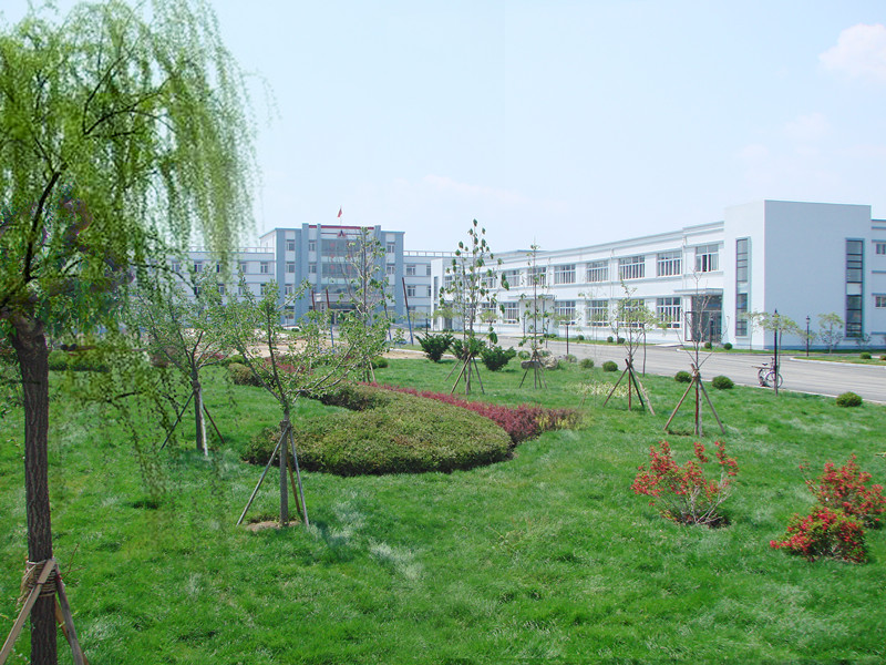 歡樂奧龍人，激昂青春夢(mèng)